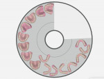 Fig 9. The denture design files are nested onto a circular print tray for polyjet printing.